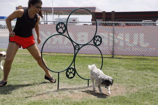 OnCue Dog Park